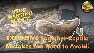 Thumbnail: EXPENSIVE Beginner Reptile Mistakes You NEED to Avoid!