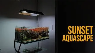 Thumbnail: Aquascaping collab - creating a sunset aquascape!