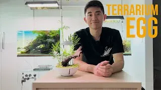 Thumbnail: Creating a terrarium in the Chihiros Tiny Terrarium Eggg