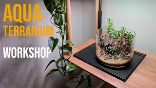 Thumbnail: Hosting my first ever aquascaping workshop!