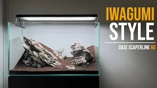 Thumbnail: My growing iwagumi obsession..