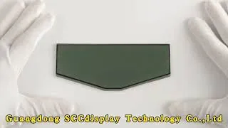 Thumbnail: Segment LCD Instrument - SJXDGW025 - Custom Segment Design