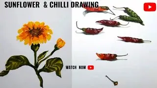 Thumbnail: Sunflower & Chilli drawing.