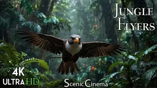 Thumbnail: Call of the Rainforest: Life in the Leaves -  Scenic Cinema With Whispers Of Birds And Nature 4K