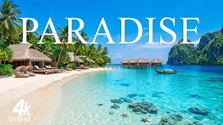 Thumbnail: PARADISE ISLAND 4K UHD | Relaxing Music Along with Beautiful Nature Videos
