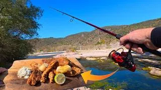 Thumbnail: Angeln am Rhein bei Extrem-Niedrigwasser / Catch and Cook