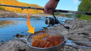 Thumbnail: Spinnfischen am Rhein bei Niedrigwasser / Catch and Cook