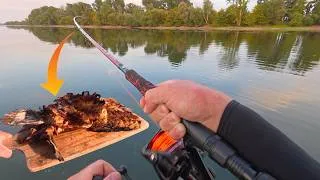 Thumbnail: Spinnfischen auf Wels am Rhein im Hochsommer / Catch and Cook