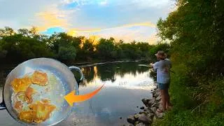 Thumbnail: 3 Tage Welsangeln am Rhein Altarm bei Niedrigwasser / Catch and Cook