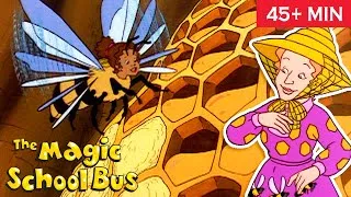 Thumbnail: In a Beehive | Gets Ants in Its Pants | Full Episodes | The Magic School Bus | Scholastic Classic