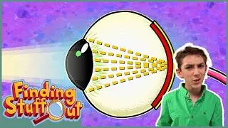 Thumbnail: How Do We See? 👀 Learn all about SIGHT | Full Episode | Finding Stuff Out | Scholastic STEAM