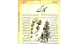 Thumbnail: کارک | Kaark read aloud from Hamdard Naunehal 1953 edition Magazine Urdu stories