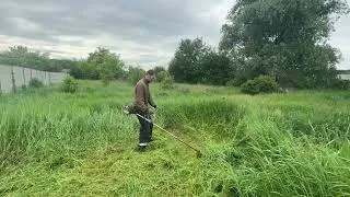 Thumbnail: My Old Brushcutter vs Tall Grass 