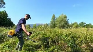 Thumbnail: Can a Plastic Brush Cutter Blade Handle Tall Reeds? 