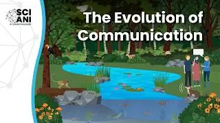 Thumbnail: How did communications evolve in animals?