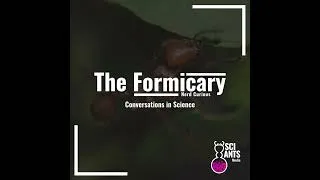 Thumbnail: You've Got Rhythm - Coffee, caffeine, And Your Body - Dr. Thomas Merritt