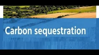 Thumbnail: Carbon Sequestration
