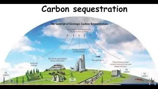 Thumbnail: Carbon Sequestration: Concepts