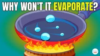 Thumbnail: Leidenfrost Effect Explained in Simple Words for Beginners