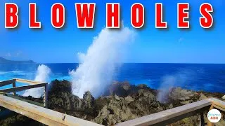 Thumbnail: What Are BLOWHOLES And How DANGEROUS Are They?