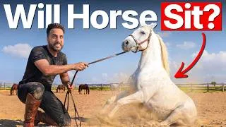 Thumbnail: Is It Actually Possible To Make A Horse Sit? (Science Experiment)