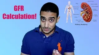 Thumbnail: Glomerular filtration rate calculation - شرح بالعربي