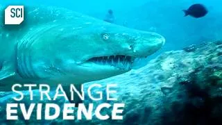 Thumbnail: Outrageous Creatures and Phenomenon from the Deep! | Strange Evidence | Science Channel