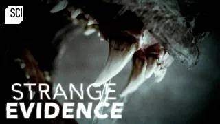 Thumbnail: Chupacabra Caught on Camera in Texas?! | Strange Evidence | Science Channel