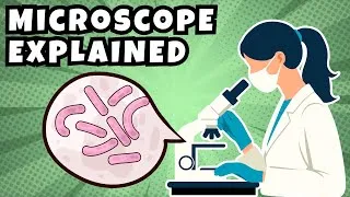 Thumbnail: The Microscope: History, Parts, and and Proper Use