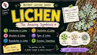 Thumbnail: Lichen Complete Lecture | Structure, Types, Reproduction & Economic Importance | BSc/MSc Botany