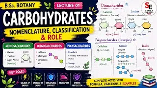 Thumbnail: Carbohydrates | Nomenclature & Classification | Monosaccharides, Disaccharides & Polysaccharides | 