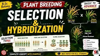 Thumbnail: Plant Breeding | Selection & Hybridization | mass and pure line selction | Easy Notes with Examples