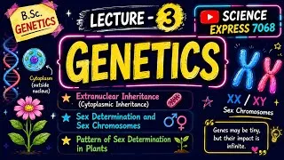 Thumbnail:  Genetics | Extranuclear (Cytoplasmic) Inheritance | Sex Determination | Sex Chromosomes | notes 