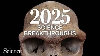 Thumbnail: The biggest science breakthroughs of 2025