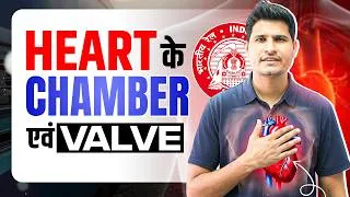 Thumbnail: Heart के Chamber एवं Valve