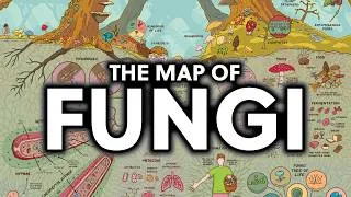 Thumbnail: The Fascinating Map of Fungi
