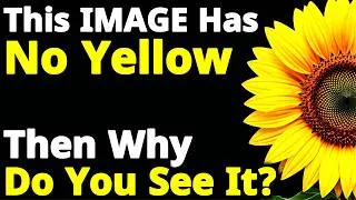 Thumbnail: Why Your Brain Sees Colors That Don’t Exist | Physics of Color