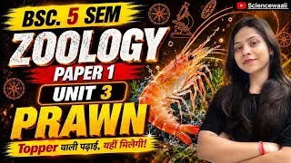 Thumbnail: Prawn morphology physiology reproduction BSc 5th semester zoology paper 1 unit 3 💯🔥 Sciencewaali