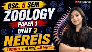 Thumbnail: Nereis morphology physiology reproduction BSc 5th semester zoology paper 1 unit 2 💯🔥 Sciencewaali