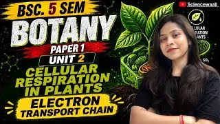 Thumbnail: Cellular respiration : Electron Transport chain|Oxidative phosphorylation BSc 5th semester botany 🔥💯