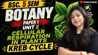 Thumbnail: Cellular respiration : Pyruvate oxidation & Kreb’s cycle  BSc 5th semester botany paper 1 Unit 2💯🔥