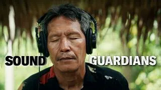 Thumbnail: They recorded a rainforest in Indonesia before it changed forever
