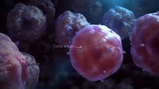 Thumbnail: Scientific Animations: 2021 Pharma Demo Reel