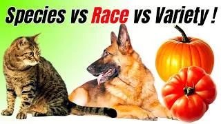 Thumbnail: Species, Race, and Variety : The Scientific Definition !