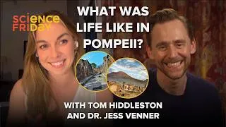 Thumbnail: How do you piece together what life was like in Pompeii? (Full Video Interview)