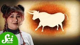 Thumbnail: Why Are There No Wild Cows?