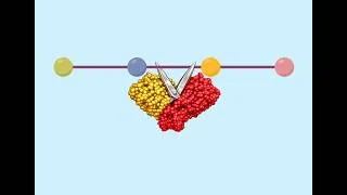 Thumbnail: Why a Key COVID-19 Antiviral Is Still Working After Years of Use