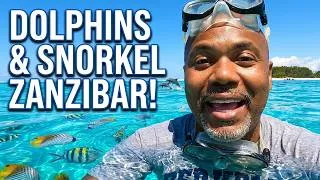 Thumbnail: Dolphins & Sandbank Snorkel by Mnemba Island | Exclusive Zanzibar Adventure (Ep 79)