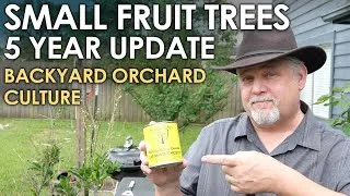 Thumbnail: Small Fruit Trees 5 Year Update! || Black Gumbo