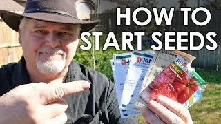 Thumbnail: How to Start Seeds in Cheap Trays || Black Gumbo